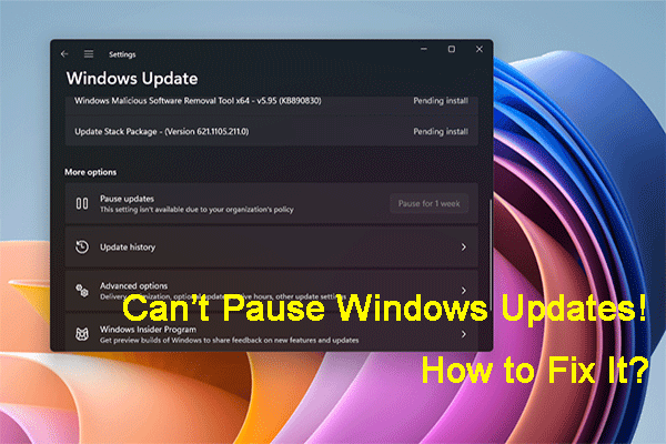 Cara Memperbaikinya: Tidak Dapat Menjeda Pembaruan Windows di Windows 10/11