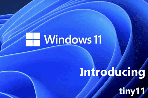 Topic: Introducing tiny11 a lightweight and debloated Windows 11 for less  powerful PCs @ AskWoody