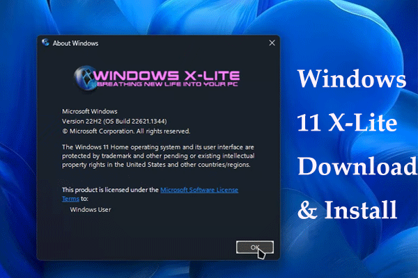 This is Windows 11 Lite! 