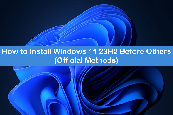 Windows 11 Version 23H2 — ISO Download (Official) 