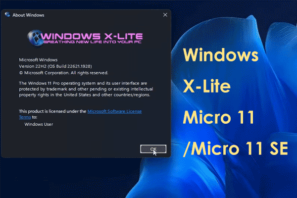 How to Download and Install Windows 11 Lite [A Full Guide] - MiniTool  Partition Wizard