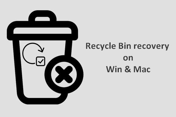 recycle bin recovery thumbnail