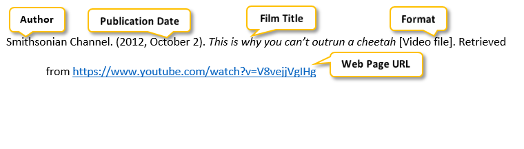 How to Cite a YouTube video in Different Citation Styles